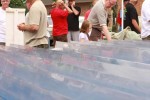 June 20, 2011: (Photos) Lowellville Turtle Race and Car Cruise