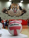 Oct. 4, 2011: (Photos) Volley for a Cure - Varsity Volleyball Hubbard 3 @ Struthers 0