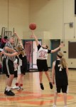 Fourth Grade Girls' Basketball - Struthers 16 @ Springfield 32