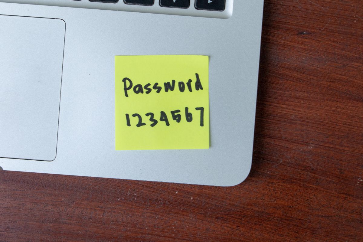 6480846130354 2025 12 18t103242.860