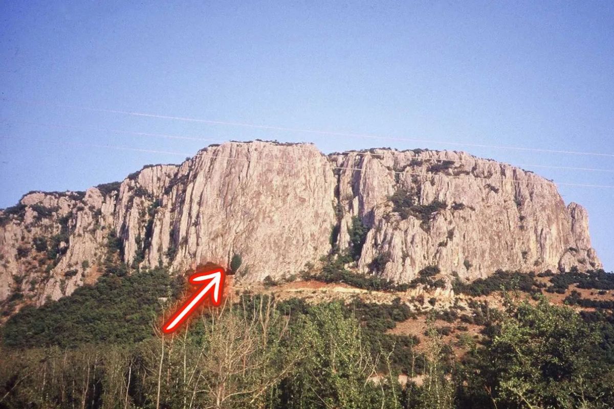 6480846130354 2026 01 22t095802.785