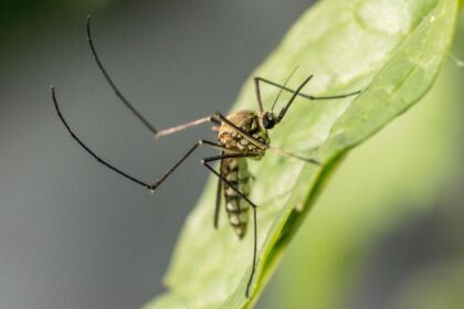 6480846130354 2026 03 20t084345.657